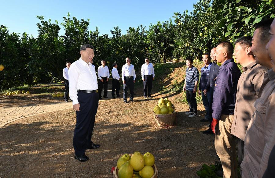 习近平在广东考察时强调 深入学习宣传贯彻党的二十届四中全会精神 以全面深化改革开放推动高质量发展