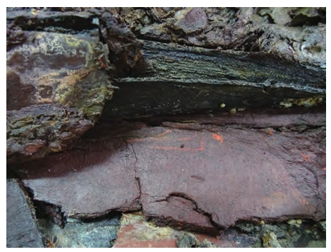 海昏侯墓出土中国最古老的“锁绣”