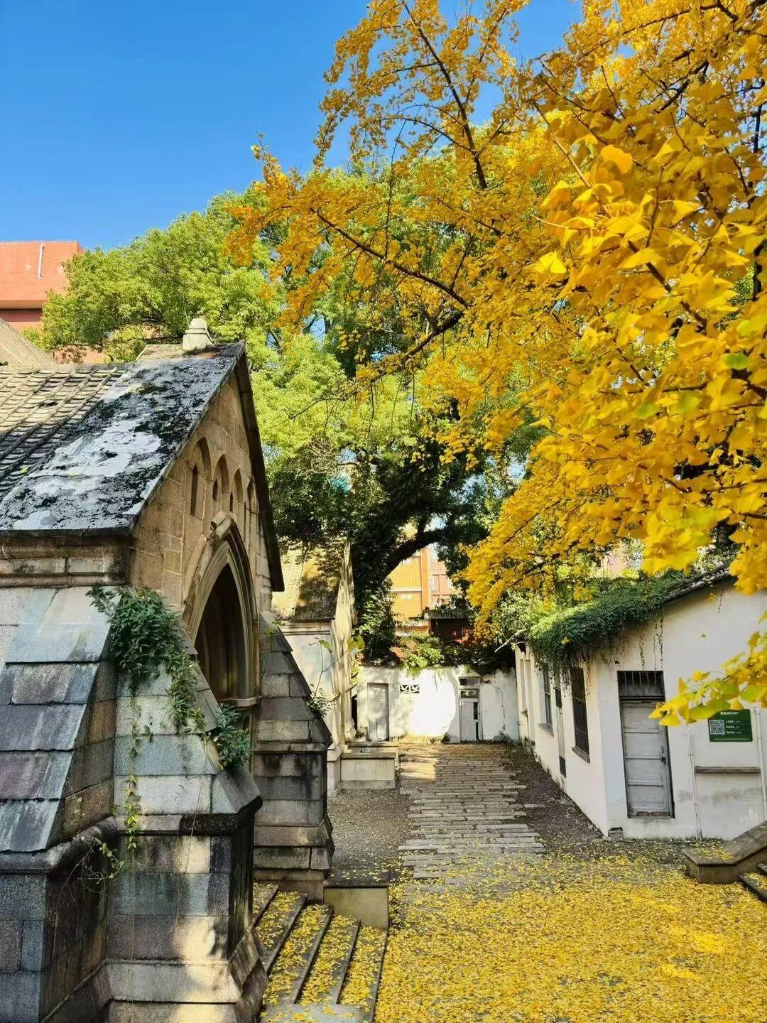 打卡5年!她镜头下的“福州蓝”,惊艳! 打卡5年!她镜头下的“福州蓝”,惊艳!