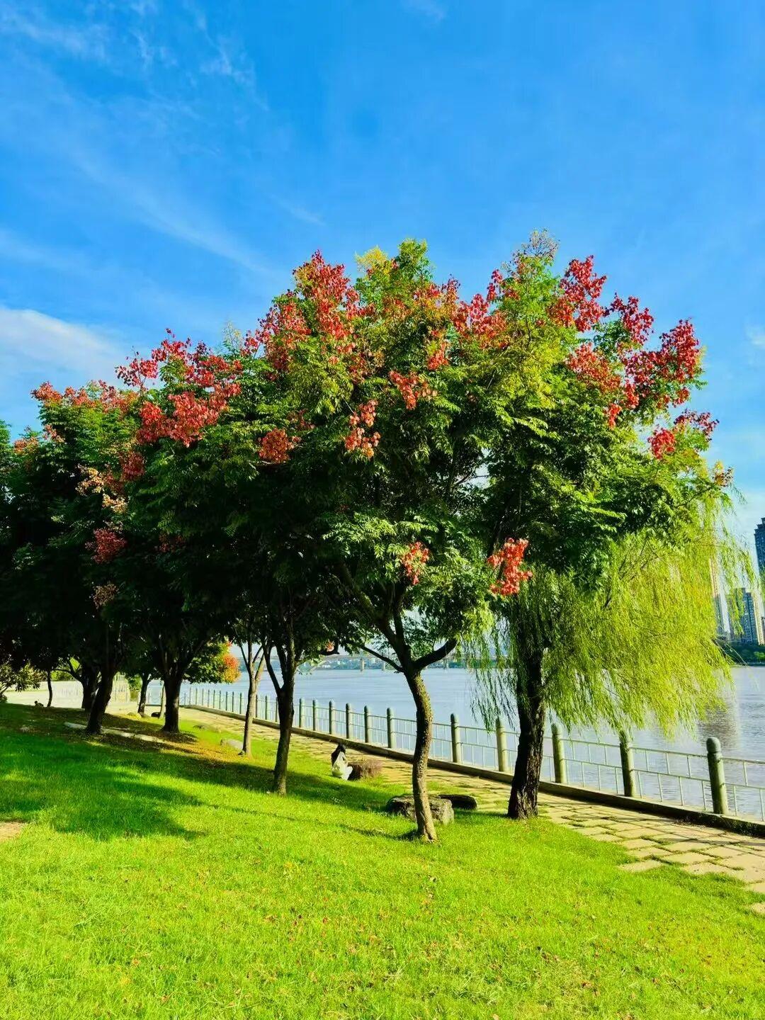 打卡5年!她镜头下的“福州蓝”,惊艳! 打卡5年!她镜头下的“福州蓝”,惊艳!