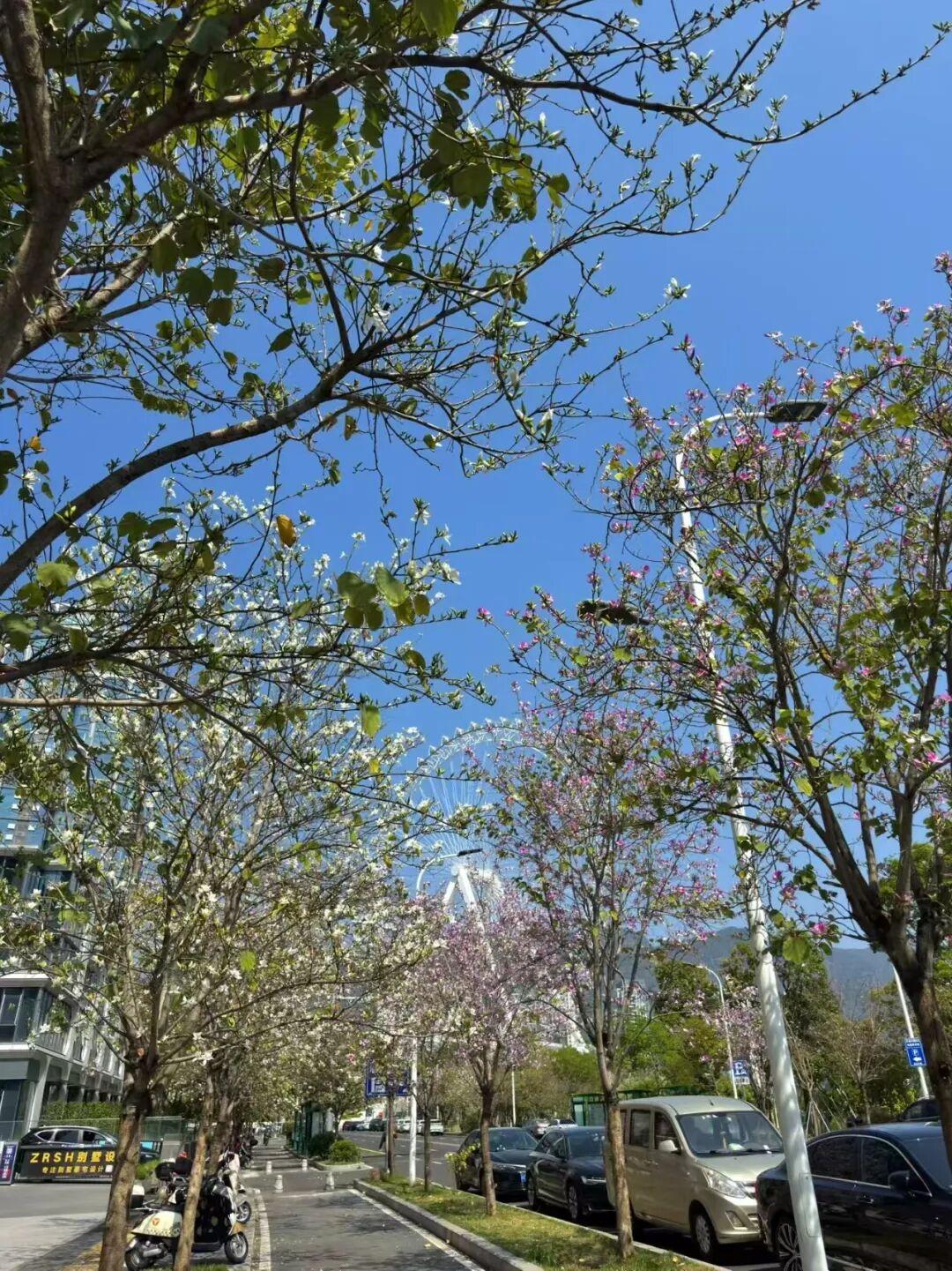 打卡5年!她镜头下的“福州蓝”,惊艳! 打卡5年!她镜头下的“福州蓝”,惊艳!