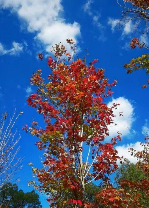 打卡5年!她镜头下的“福州蓝”,惊艳! 打卡5年!她镜头下的“福州蓝”,惊艳!