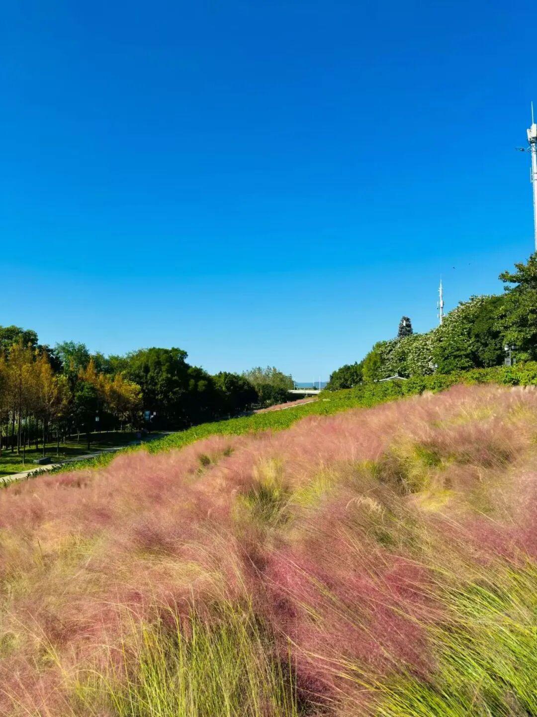 打卡5年!她镜头下的“福州蓝”,惊艳! 打卡5年!她镜头下的“福州蓝”,惊艳!