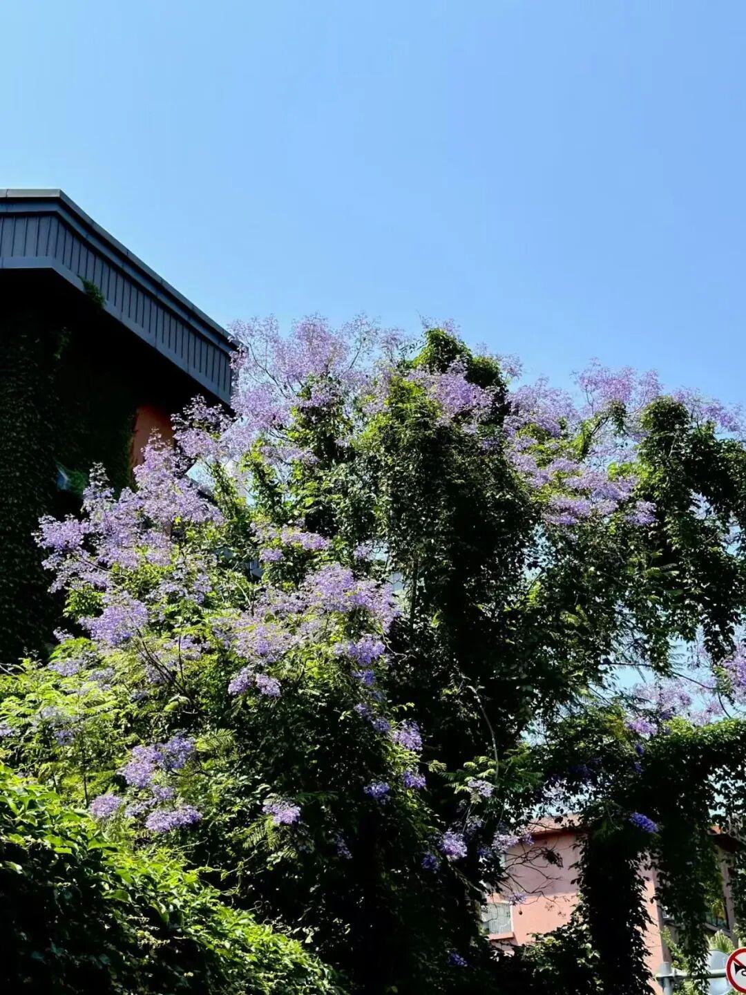 打卡5年!她镜头下的“福州蓝”,惊艳! 打卡5年!她镜头下的“福州蓝”,惊艳!