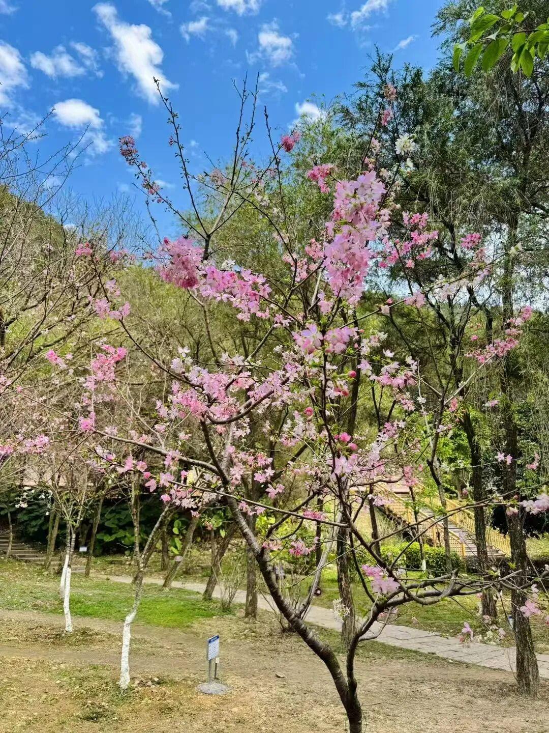 打卡5年!她镜头下的“福州蓝”,惊艳! 打卡5年!她镜头下的“福州蓝”,惊艳!