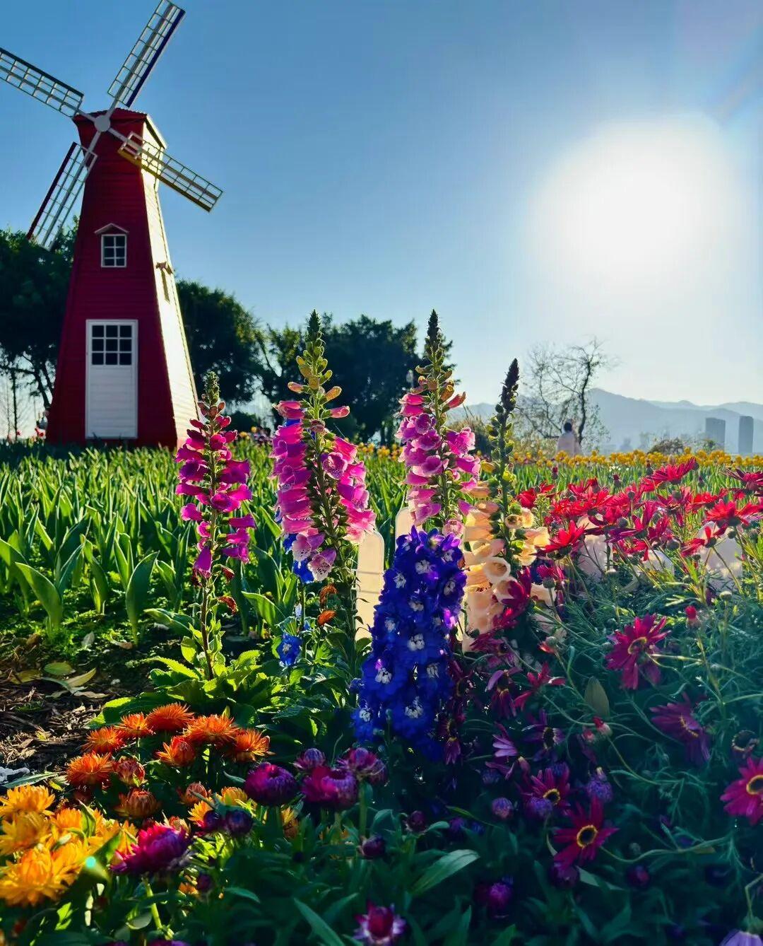 打卡5年!她镜头下的“福州蓝”,惊艳! 打卡5年!她镜头下的“福州蓝”,惊艳!