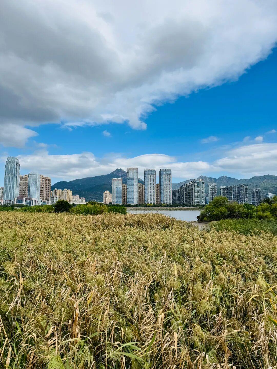 打卡5年!她镜头下的“福州蓝”,惊艳! 打卡5年!她镜头下的“福州蓝”,惊艳!