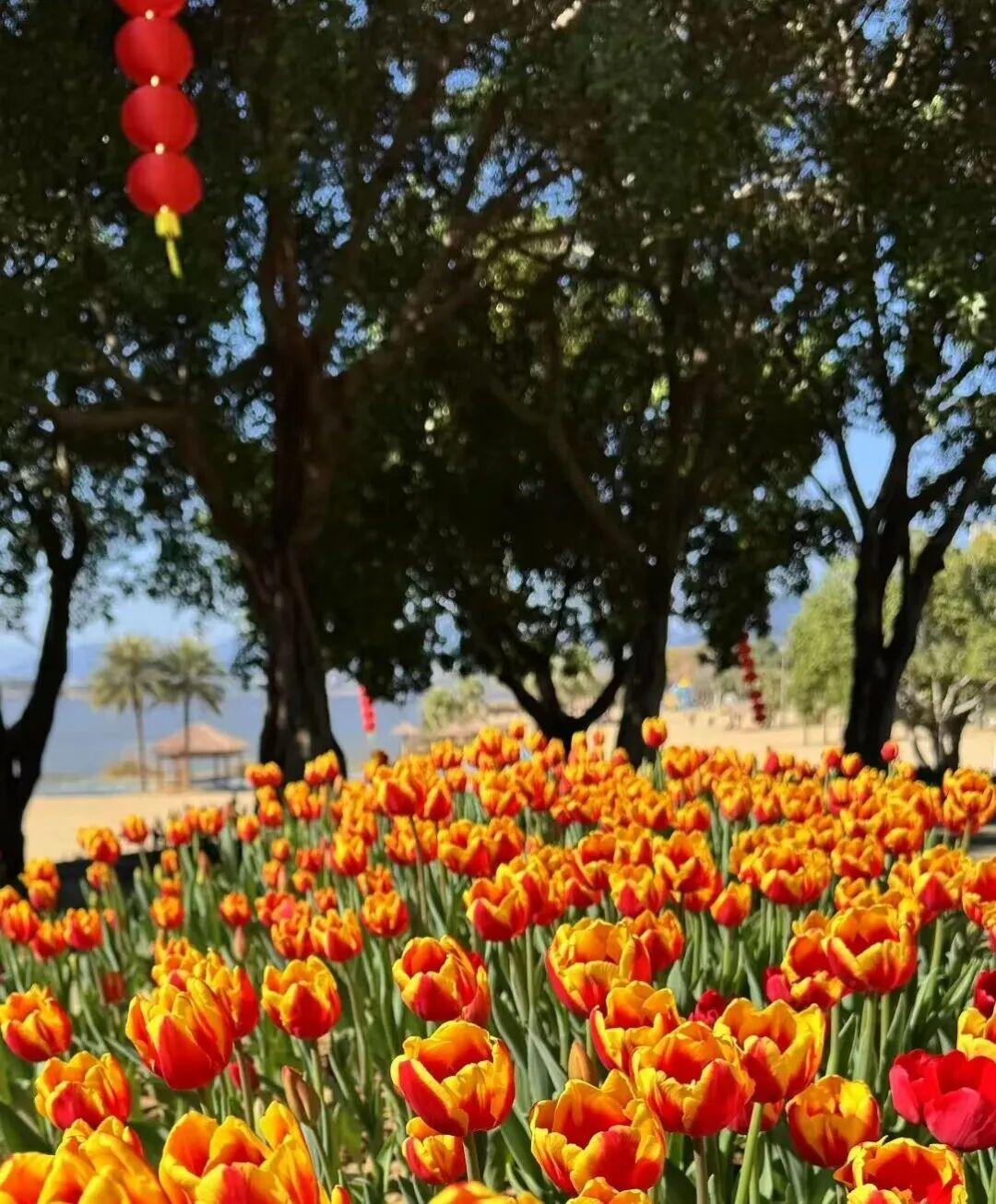 打卡5年!她镜头下的“福州蓝”,惊艳! 打卡5年!她镜头下的“福州蓝”,惊艳!