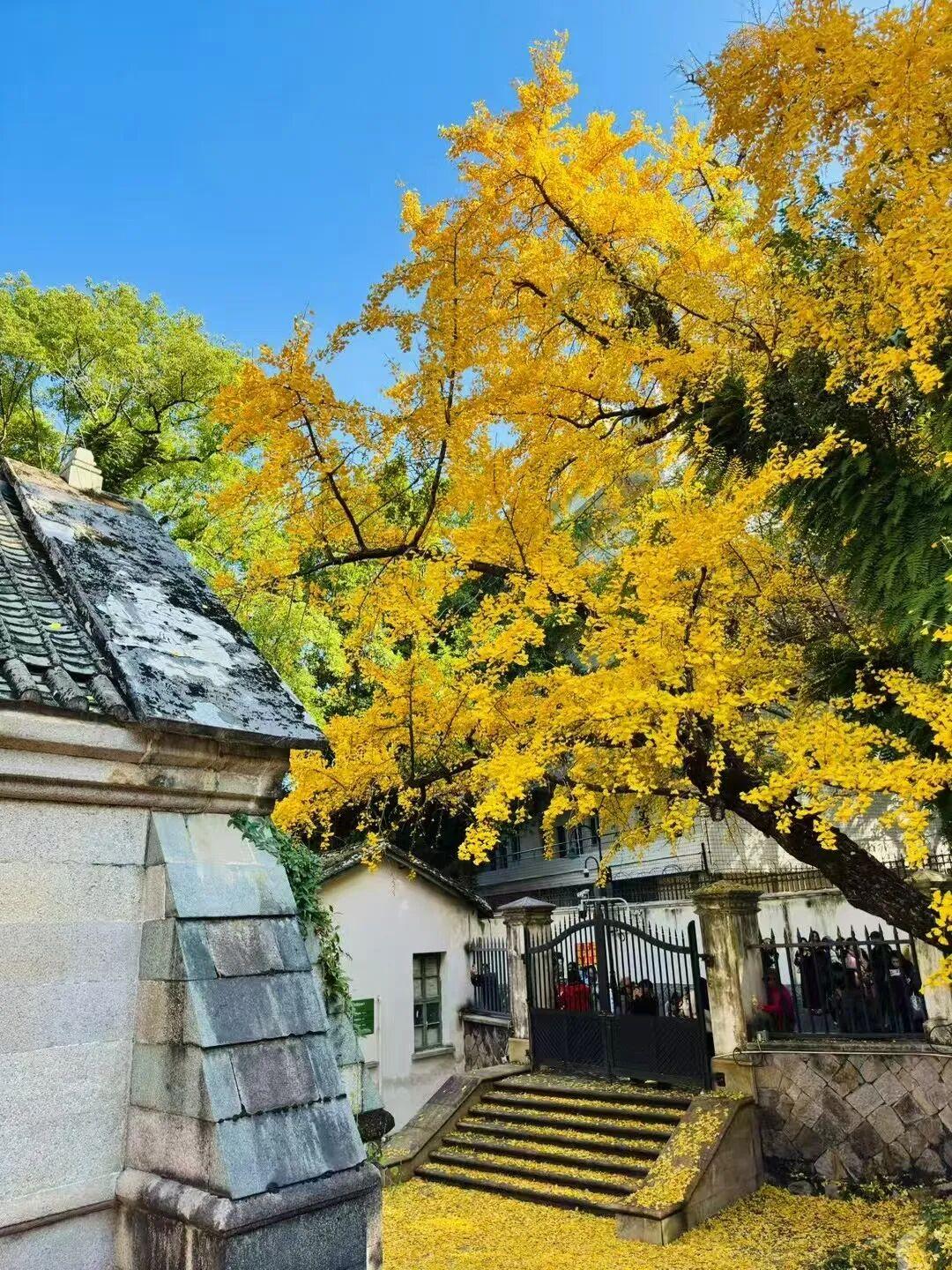 打卡5年!她镜头下的“福州蓝”,惊艳! 打卡5年!她镜头下的“福州蓝”,惊艳!