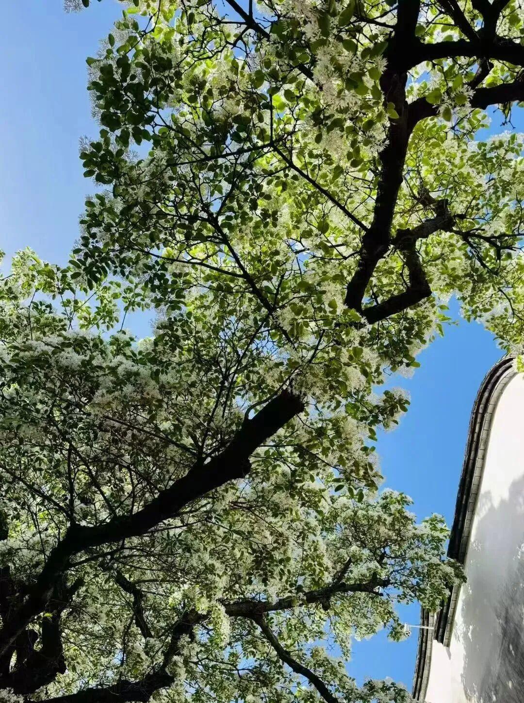 打卡5年!她镜头下的“福州蓝”,惊艳! 打卡5年!她镜头下的“福州蓝”,惊艳!