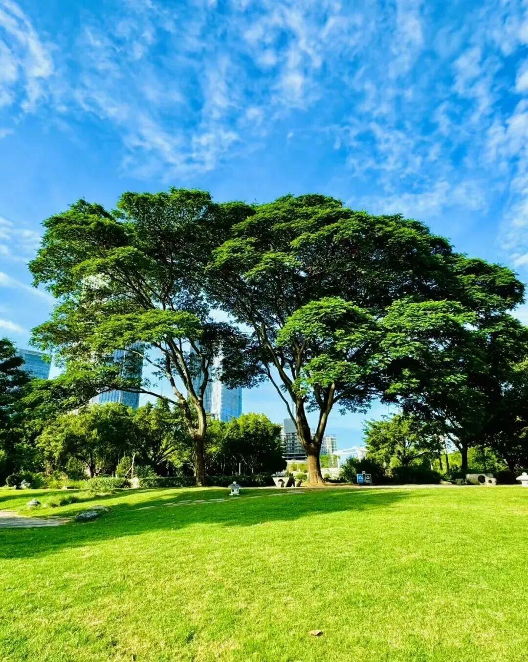 打卡5年!她镜头下的“福州蓝”,惊艳! 打卡5年!她镜头下的“福州蓝”,惊艳!