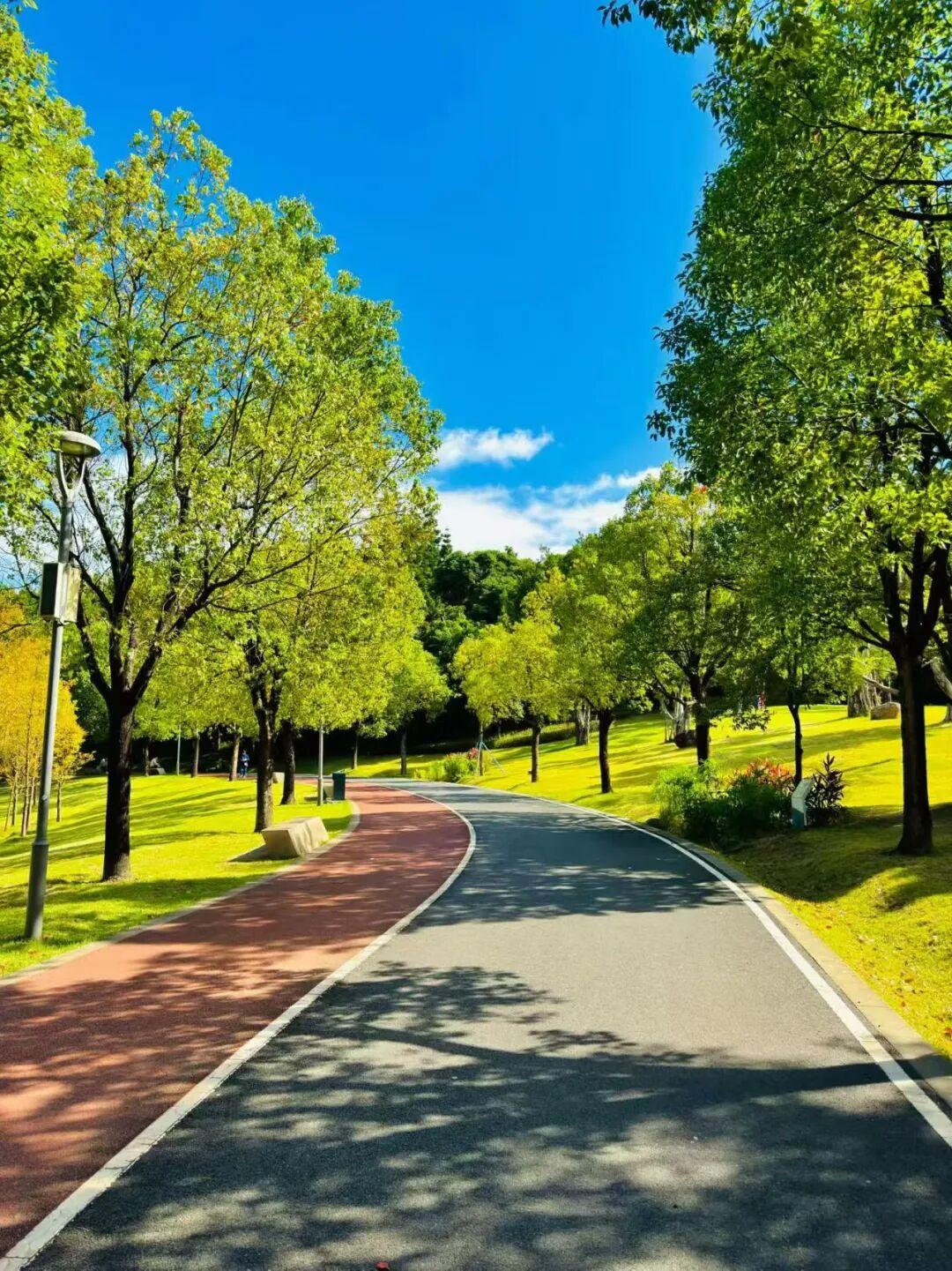 打卡5年!她镜头下的“福州蓝”,惊艳! 打卡5年!她镜头下的“福州蓝”,惊艳!