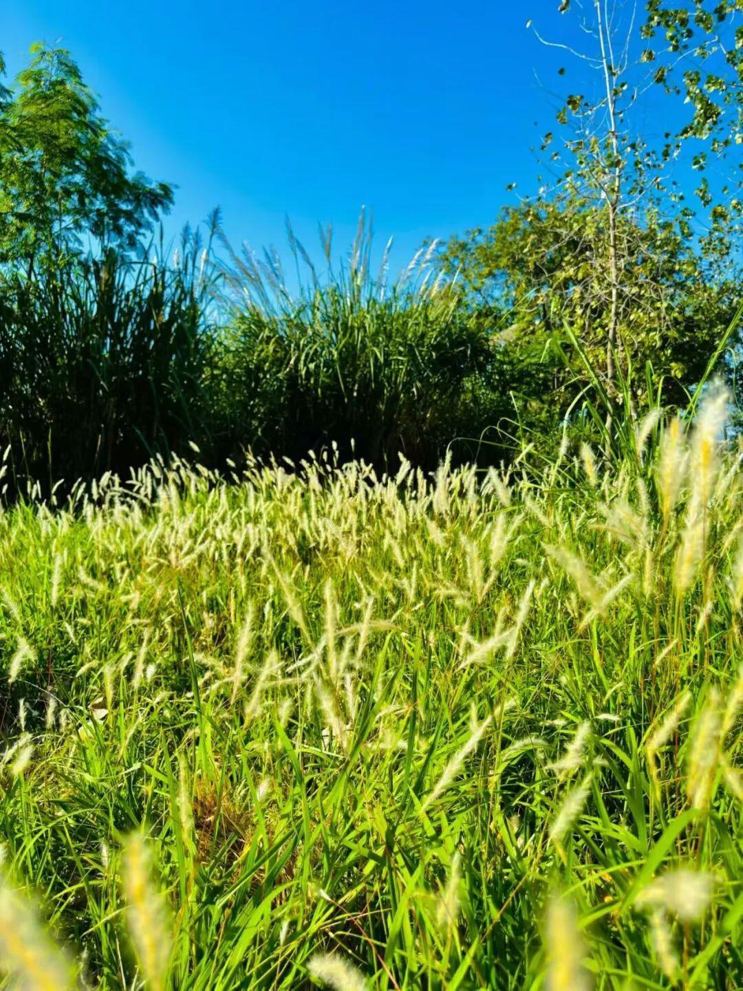 打卡5年!她镜头下的“福州蓝”,惊艳! 打卡5年!她镜头下的“福州蓝”,惊艳!
