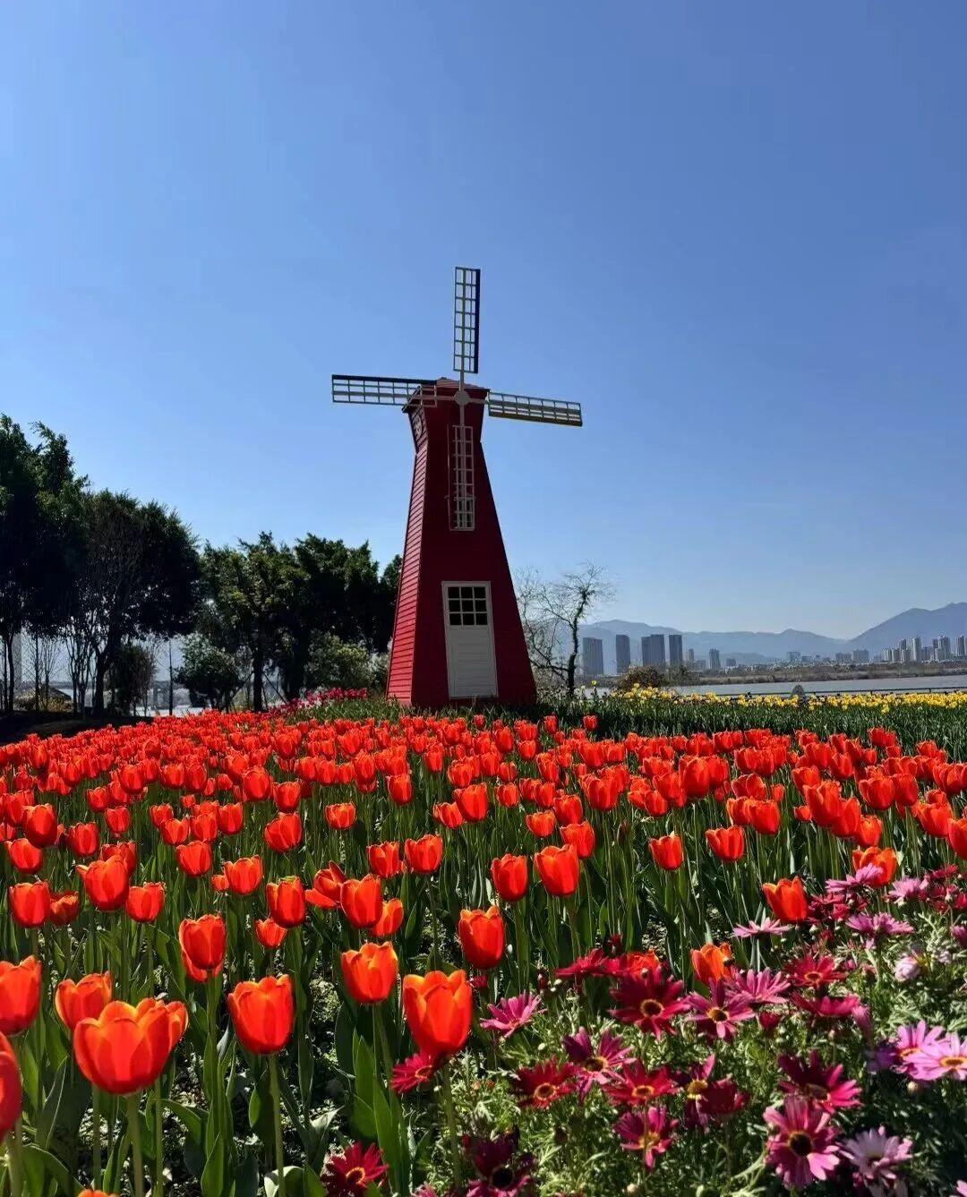 打卡5年!她镜头下的“福州蓝”,惊艳! 打卡5年!她镜头下的“福州蓝”,惊艳!