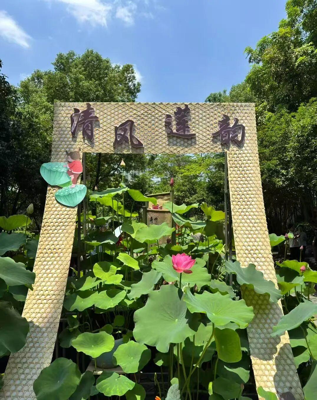 打卡5年!她镜头下的“福州蓝”,惊艳! 打卡5年!她镜头下的“福州蓝”,惊艳!