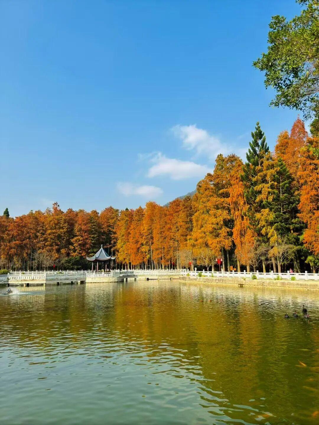 打卡5年!她镜头下的“福州蓝”,惊艳! 打卡5年!她镜头下的“福州蓝”,惊艳!