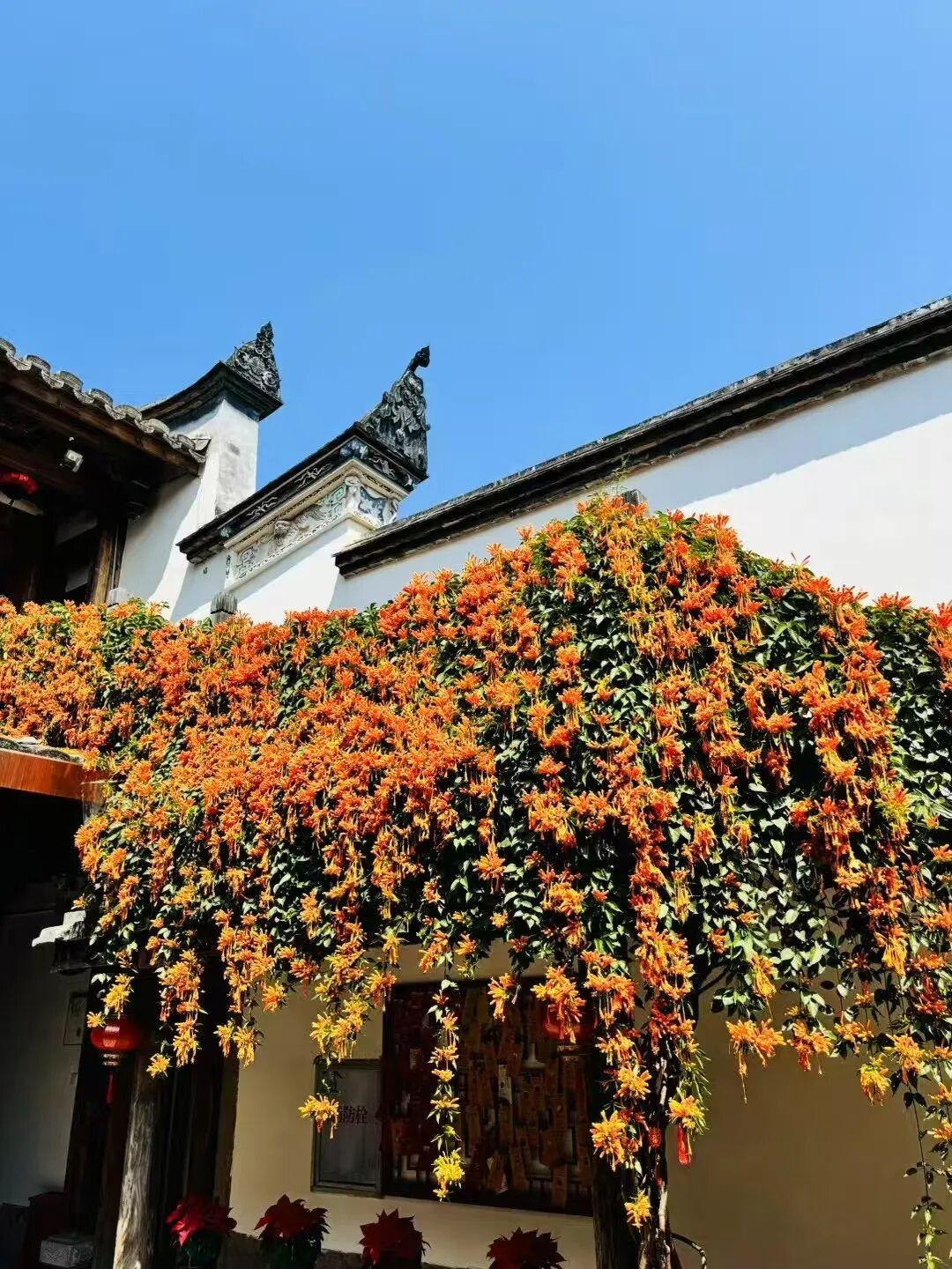 打卡5年!她镜头下的“福州蓝”,惊艳! 打卡5年!她镜头下的“福州蓝”,惊艳!