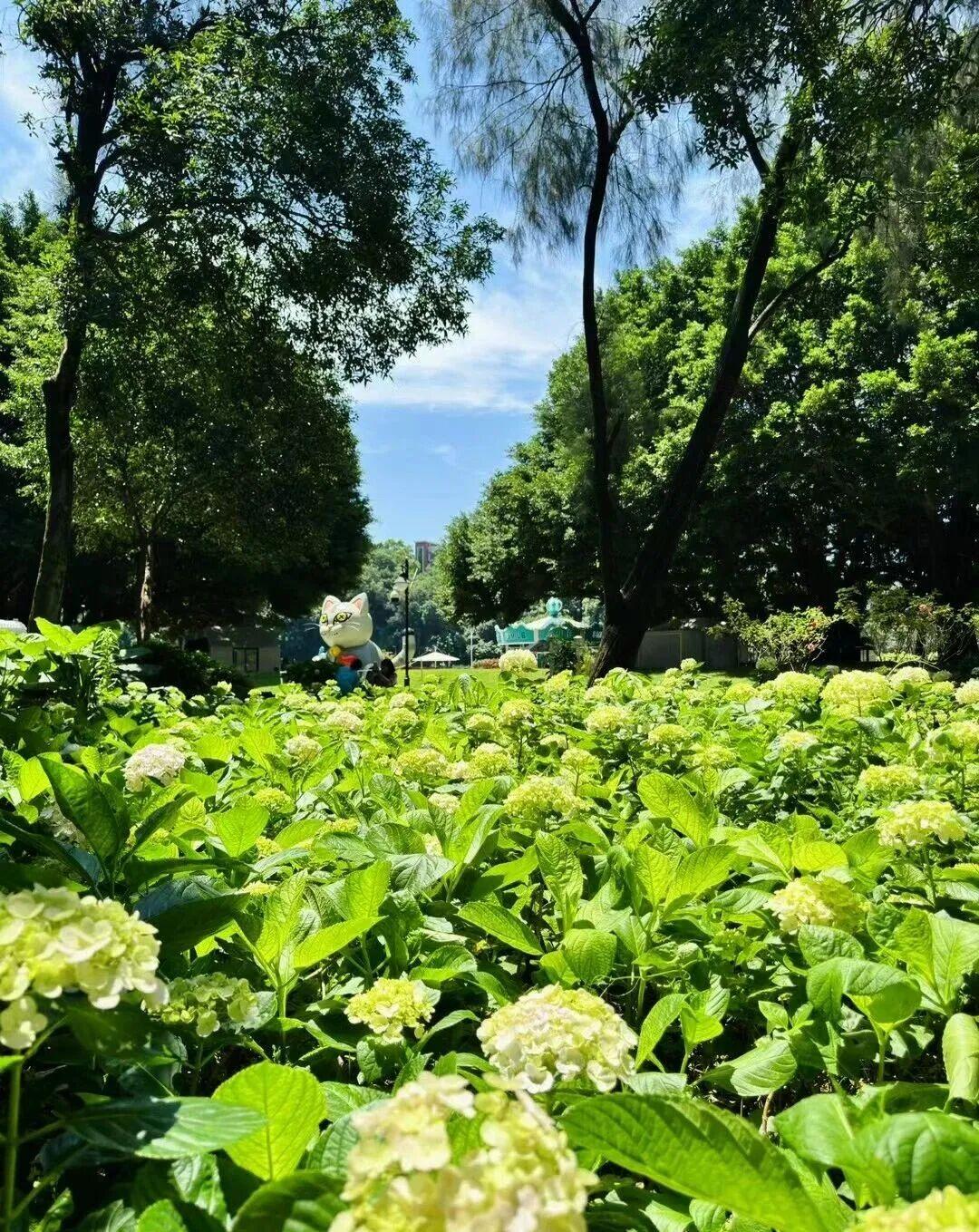 打卡5年!她镜头下的“福州蓝”,惊艳! 打卡5年!她镜头下的“福州蓝”,惊艳!