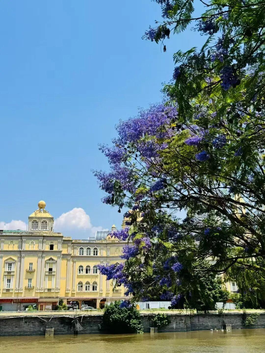 打卡5年!她镜头下的“福州蓝”,惊艳! 打卡5年!她镜头下的“福州蓝”,惊艳!