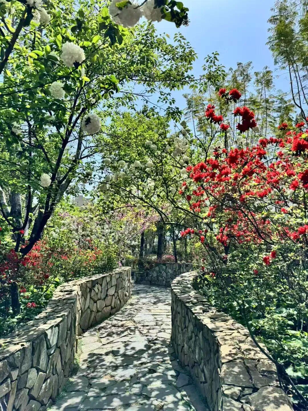 打卡5年!她镜头下的“福州蓝”,惊艳! 打卡5年!她镜头下的“福州蓝”,惊艳!