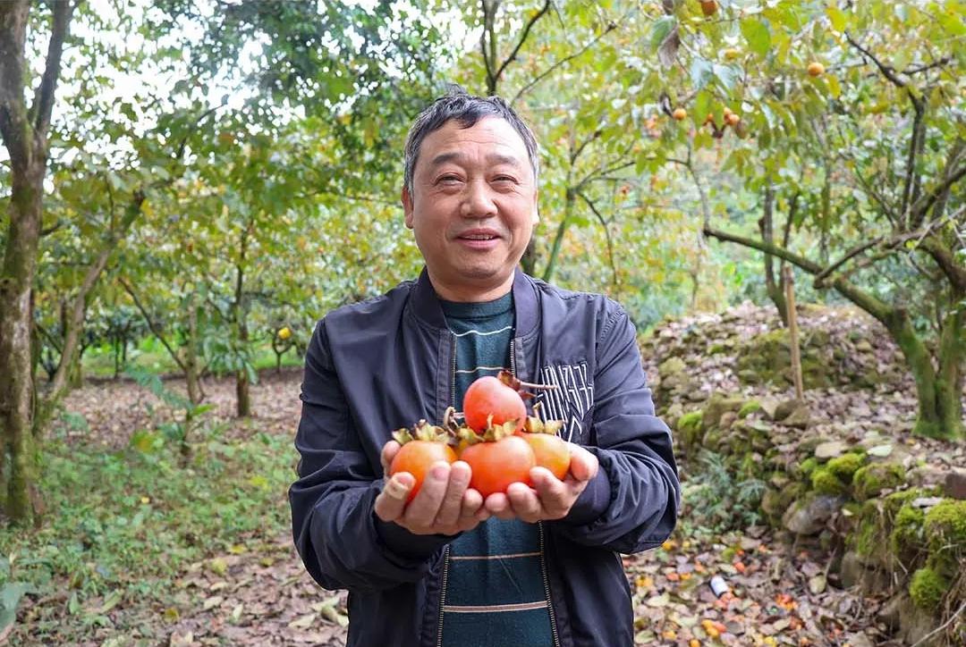 蚝鲜柿甜！连江乡村“丰”光正好！