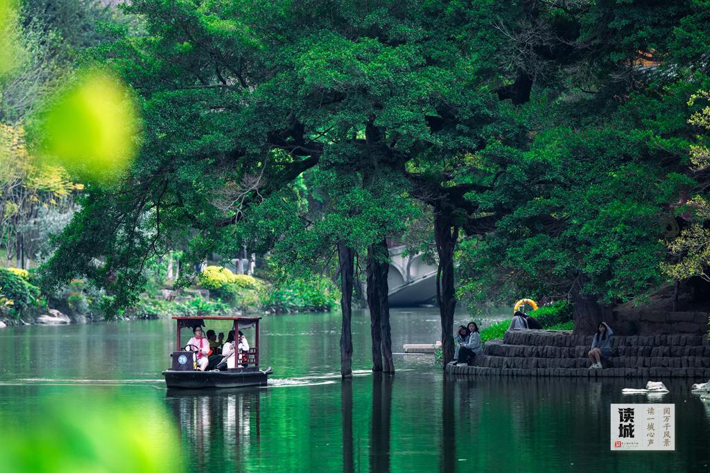 读城 | “榕荫福州”的榕，生命这样延续……