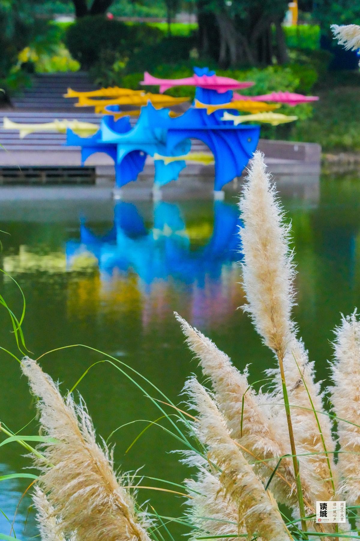 读城 | 福州这份“秋冬限定浪漫”，双11免费派送