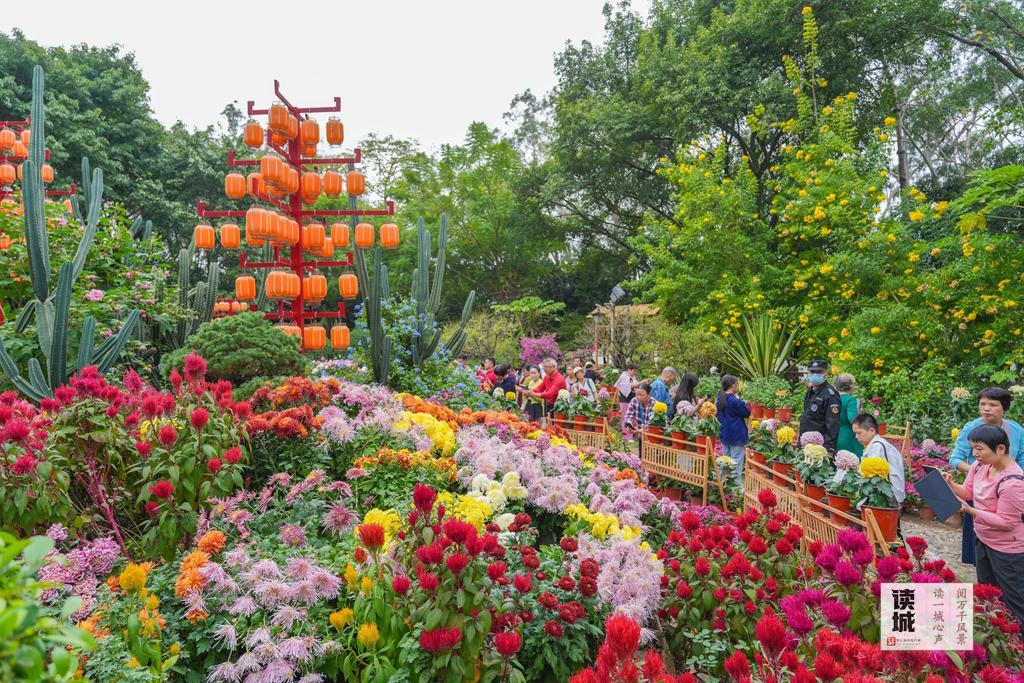 读城 | 福州这份“秋冬限定浪漫”，双11免费派送