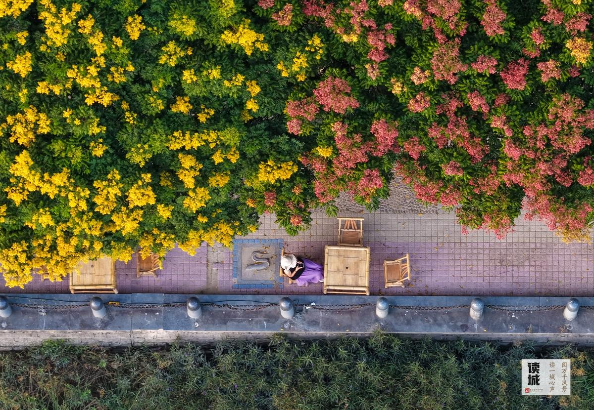 读城 | 福州这份“秋冬限定浪漫”，双11免费派送