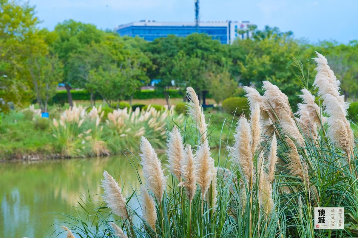 读城 | 福州这份“秋冬限定浪漫”，双11免费派送