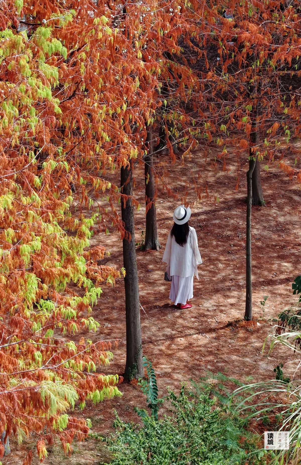 读城 | 福州这份“秋冬限定浪漫”，双11免费派送