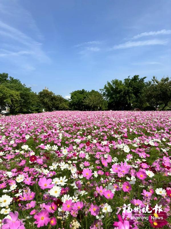 “福州蓝”绘就幸福底色