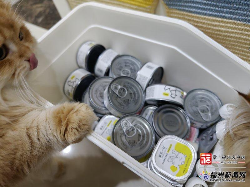 新消费｜今年“双11”，福州年轻人主打一个“人间清醒”