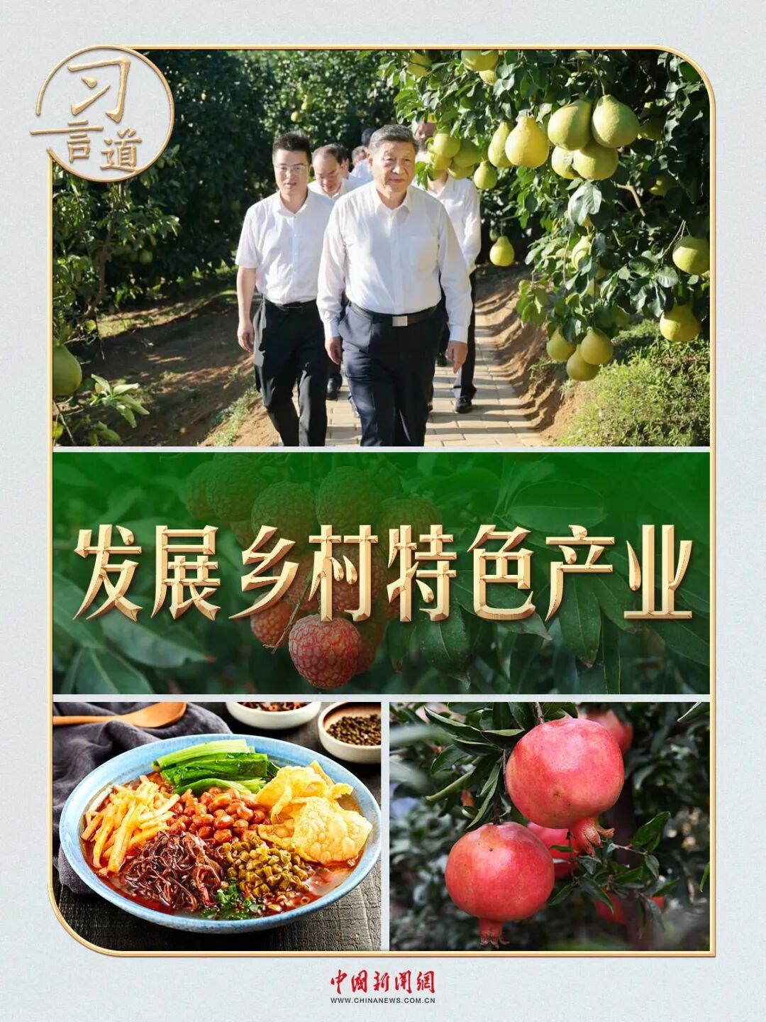 习言道｜从荔枝园到柚子园，习近平不变的牵挂