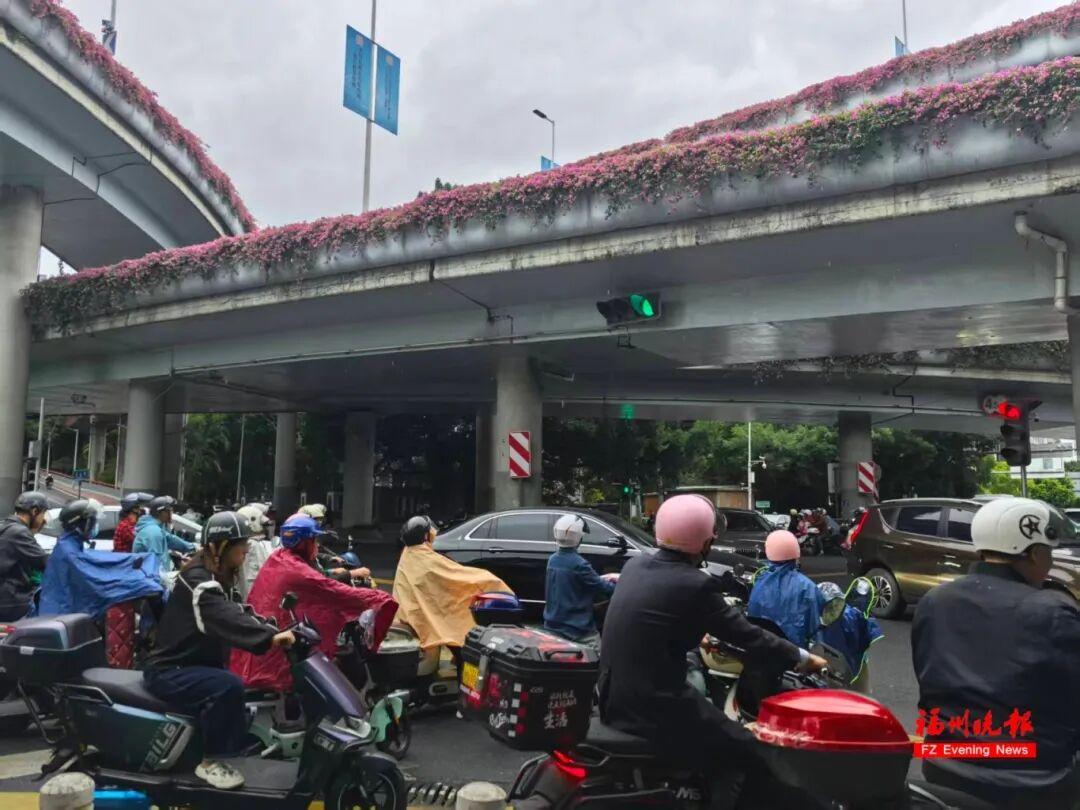 黄色预警！大风、大雨即将抵达福州……