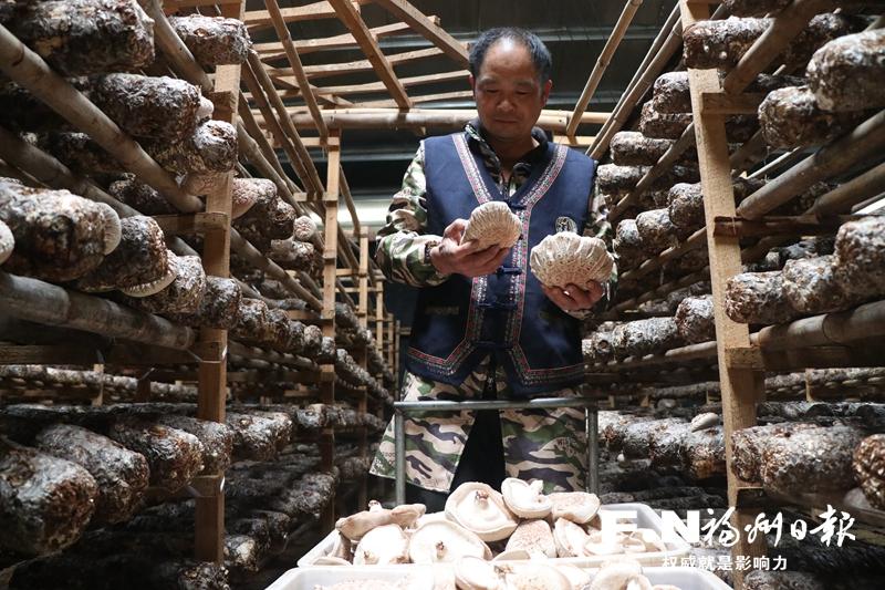 罗源县霍口畲族乡走出特色发展新路径