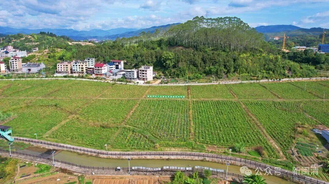 塔庄镇:以“技术创新”蹚出农业高质量发展之路 塔庄镇:以“技术创新”蹚出农业高质量发展之路