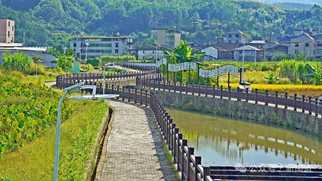 塔庄镇:以“技术创新”蹚出农业高质量发展之路 塔庄镇:以“技术创新”蹚出农业高质量发展之路