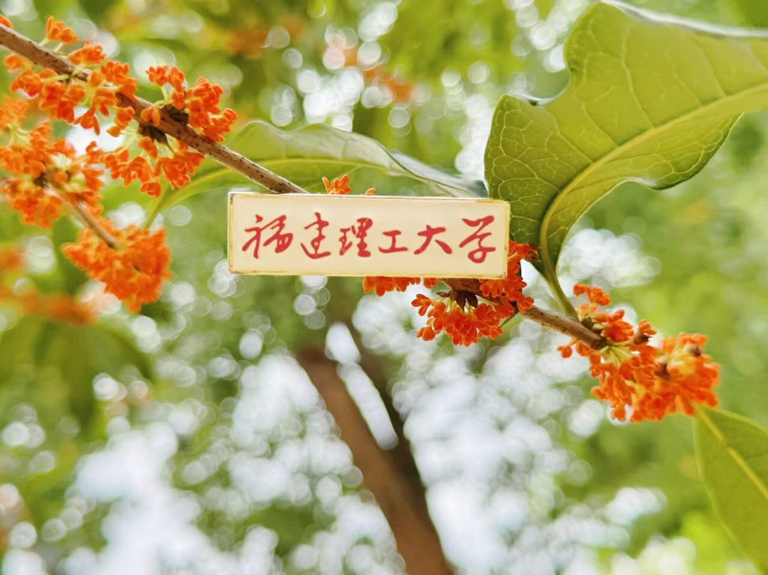 “银杏伞”爆火！更惊艳的福建校园秋景藏在这→