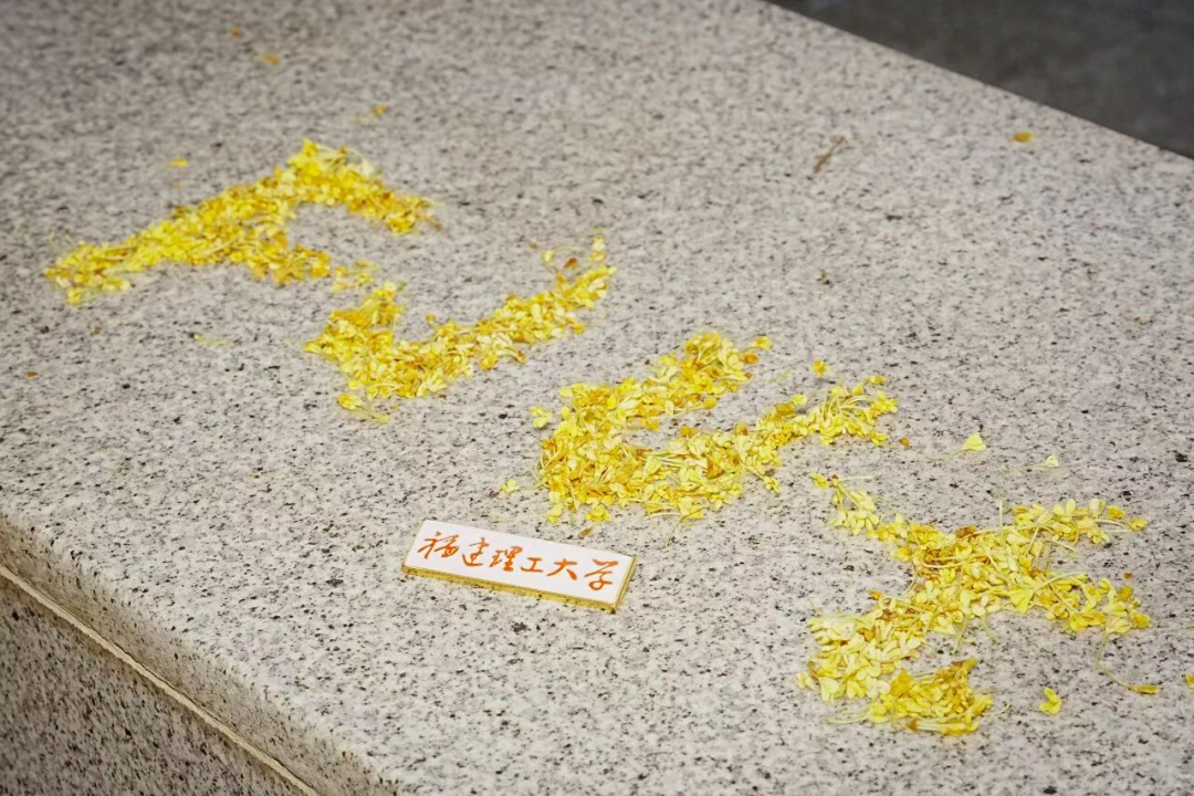 “银杏伞”爆火！更惊艳的福建校园秋景藏在这→