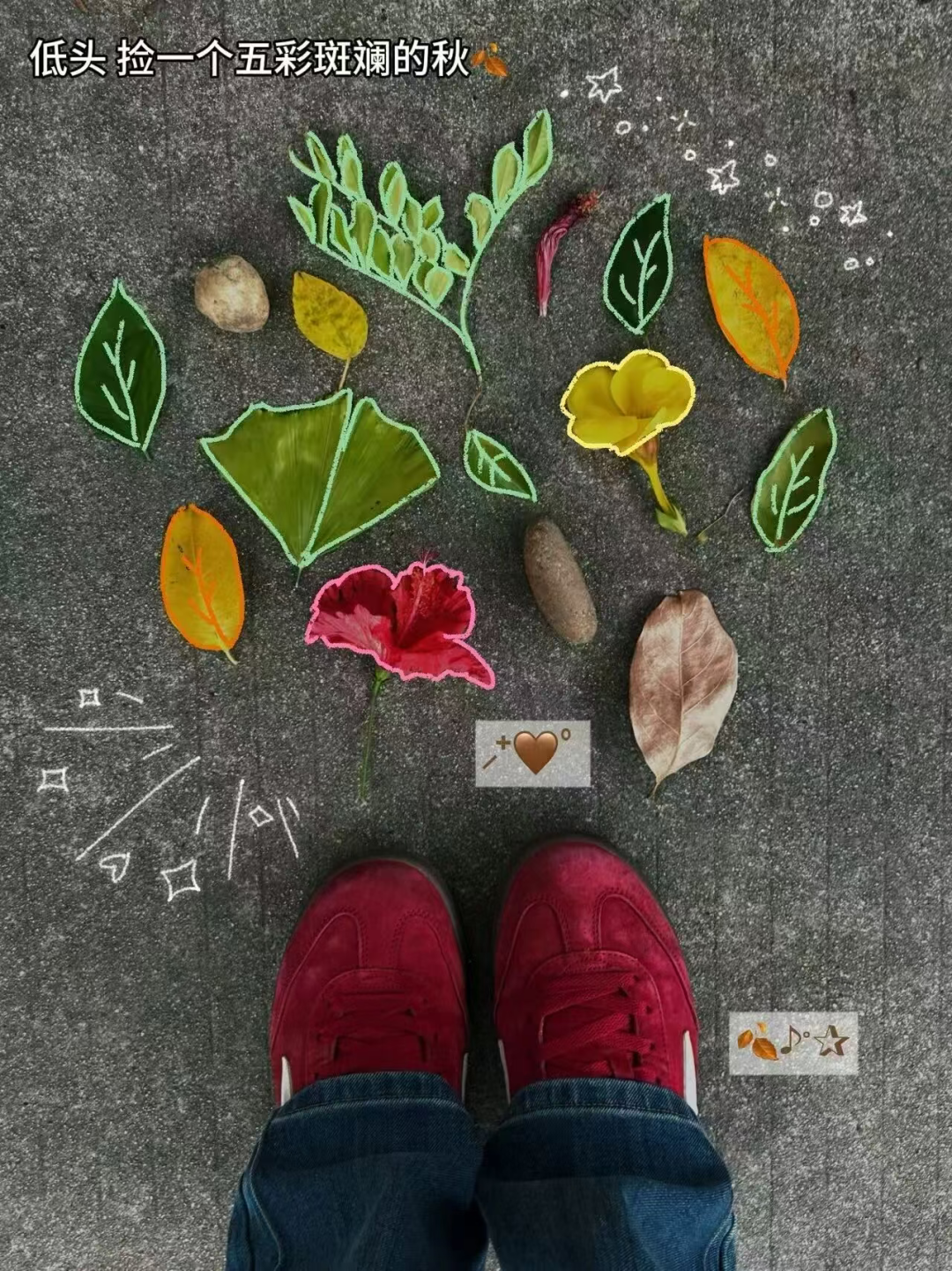 “银杏伞”爆火！更惊艳的福建校园秋景藏在这→