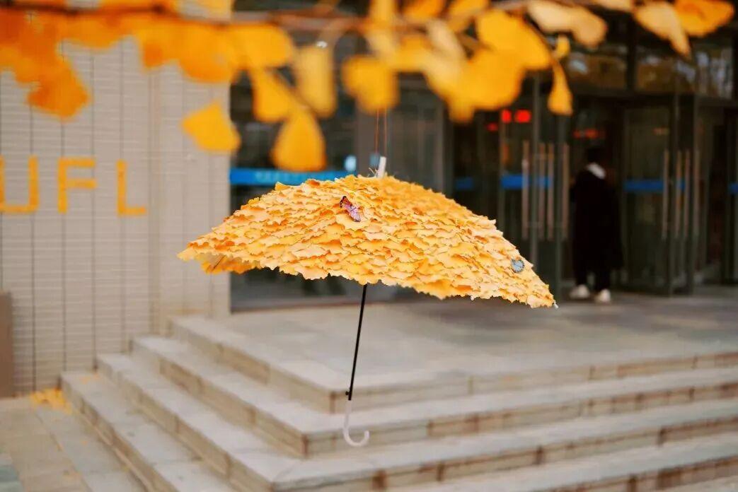 “银杏伞”爆火！更惊艳的福建校园秋景藏在这→