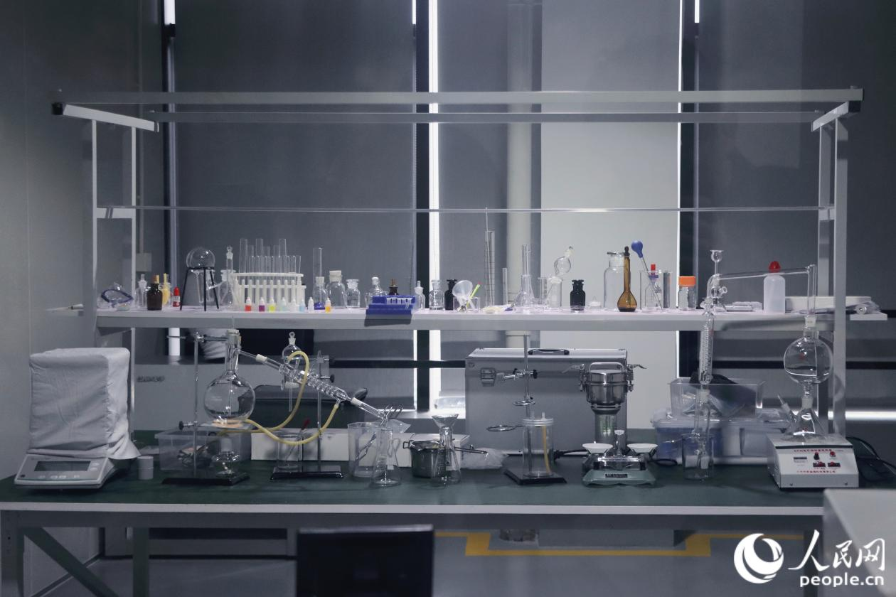 人民网关注永泰：一颗油茶果的“增值密码”