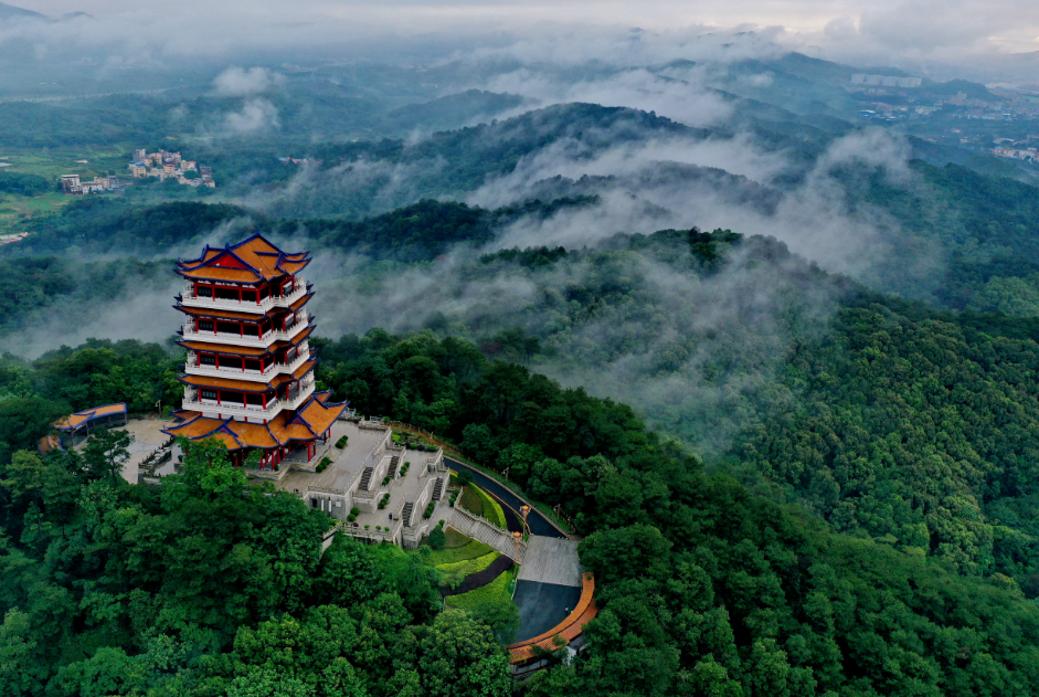 超万名毕业生选择的算力城市，穿粤到闽来找你！