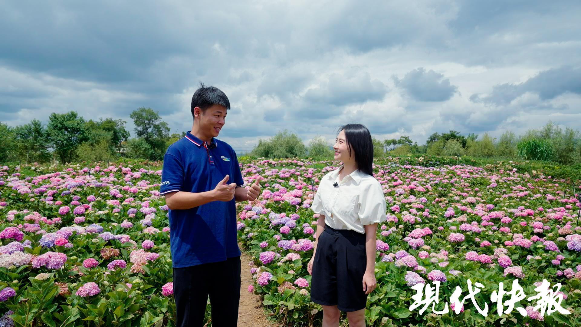 改革者 正青春｜一朵鲜花如何“链接”全球市场？