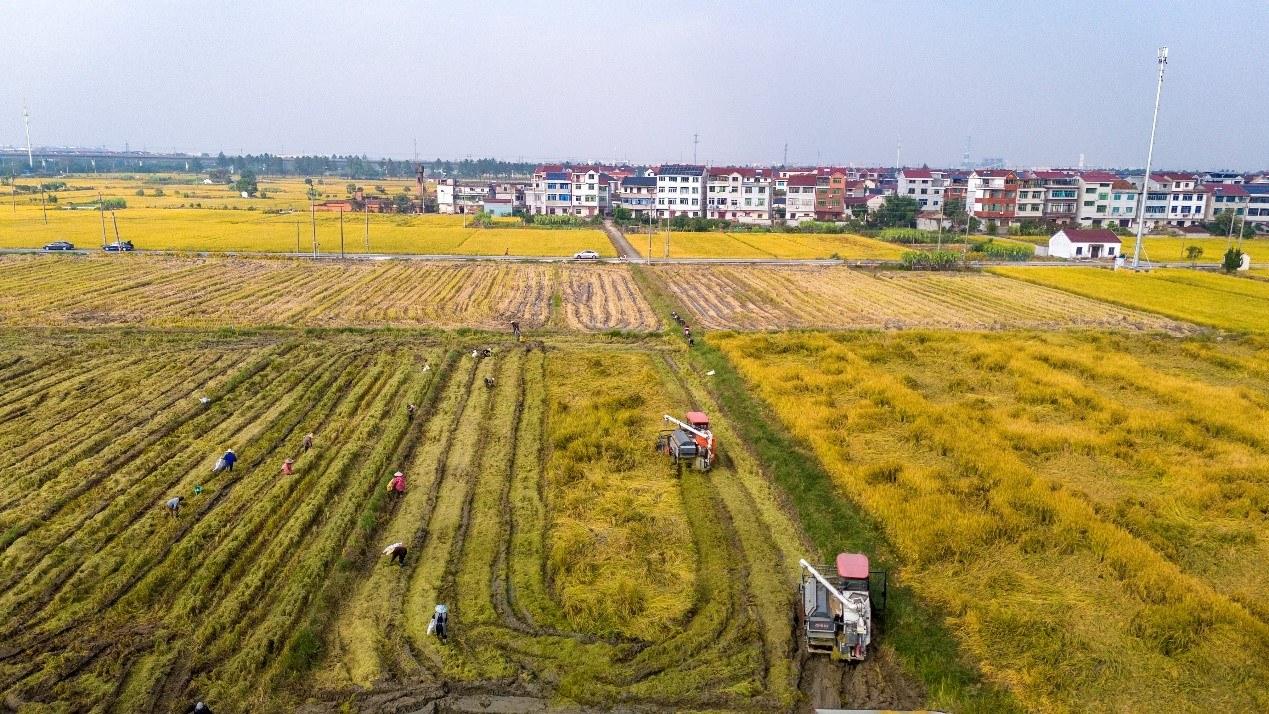 第一视点丨以自主创新塑造发展新优势