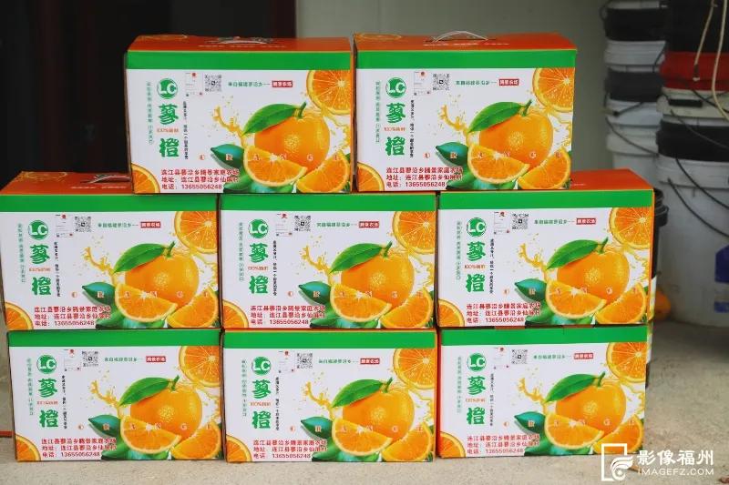 最佳采摘期！快来实现“橙子自由”