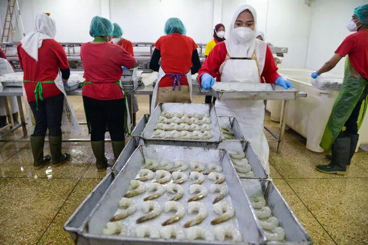 闽人智慧｜为了这件事，福建的国际“老友”来了！