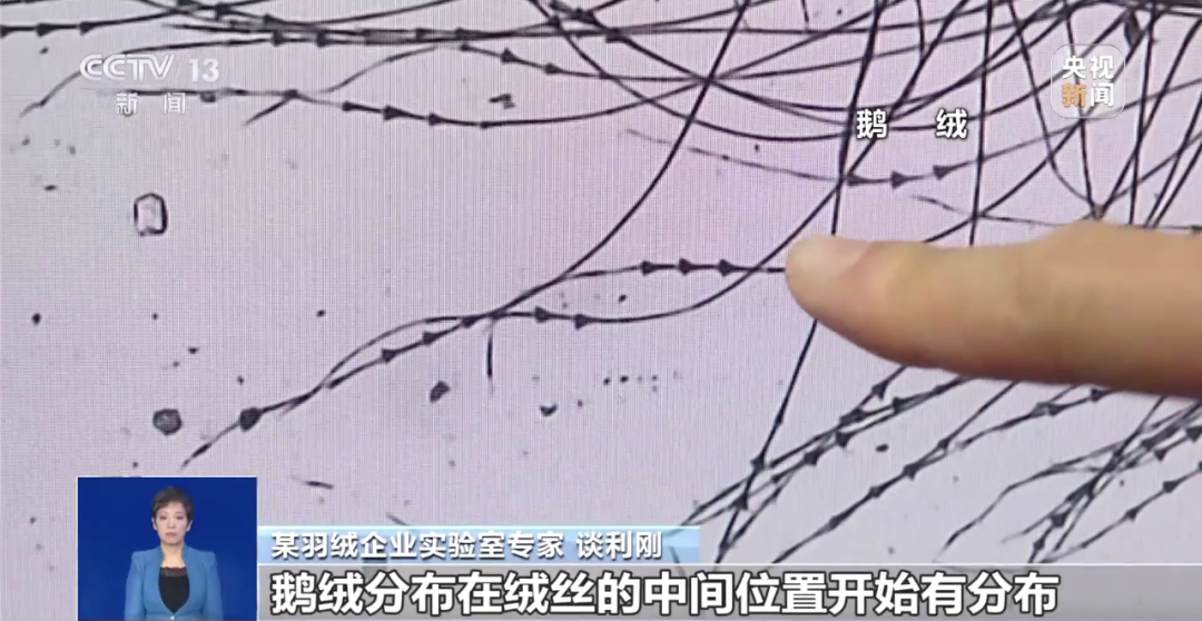 300元到底能不能买一件真羽绒服？