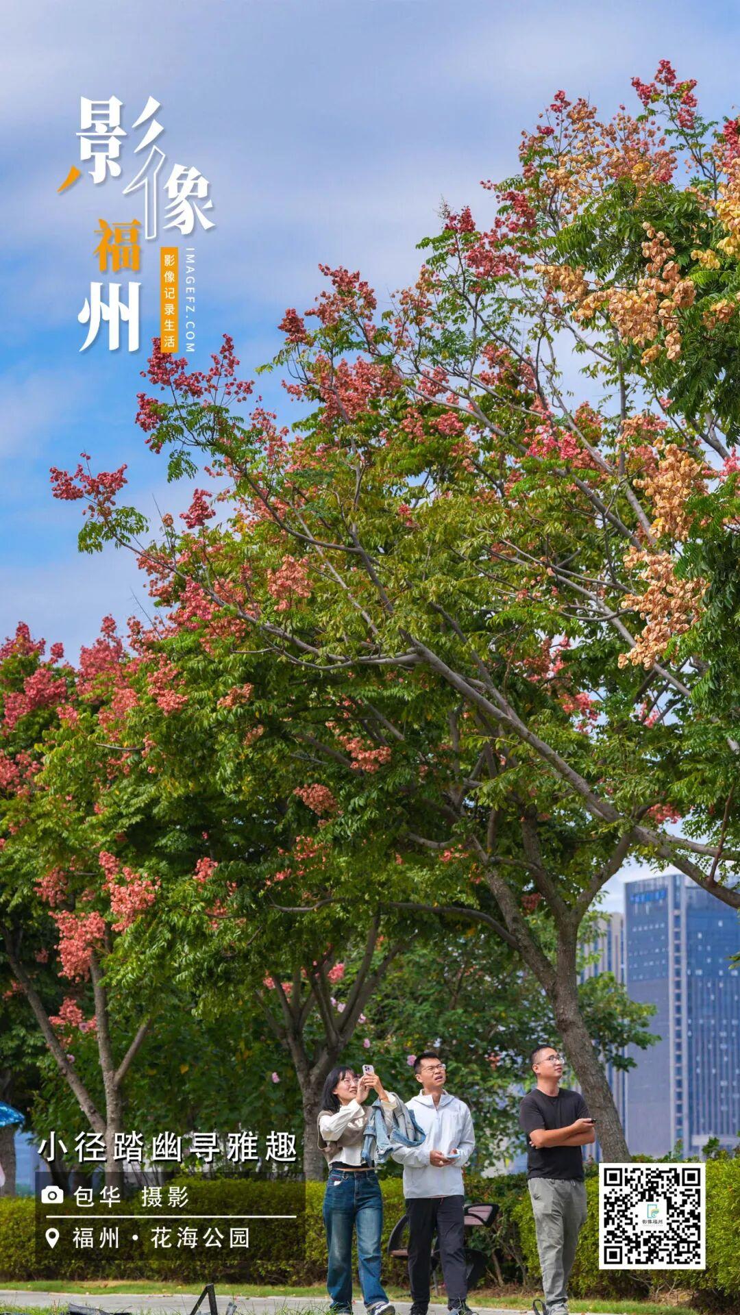 影像福州丨小径踏幽寻雅趣